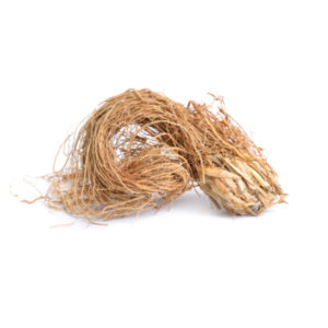 Vetiver Essential Oil