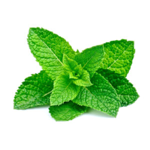 Peppermint Essential Oil