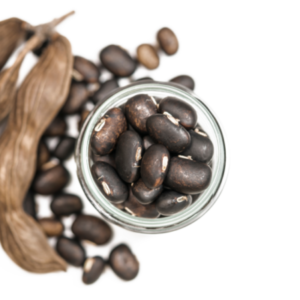 Mucuna Pruriens Extract