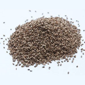 Carrot Seed Essential Oil