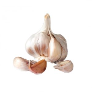 Garlic Essential Oil